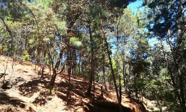 Rancho Venta El Charo Michoacán