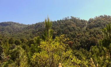 Rancho Venta El Charo Michoacán