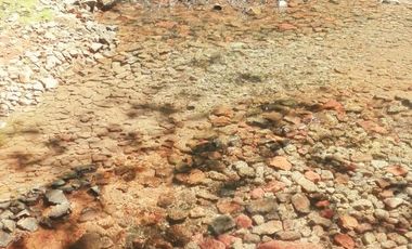 Rancho Venta El Charo Michoacán