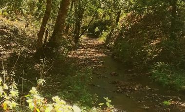 Rancho Venta El Charo Michoacán