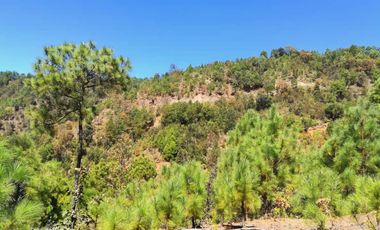 Rancho Venta El Charo Michoacán