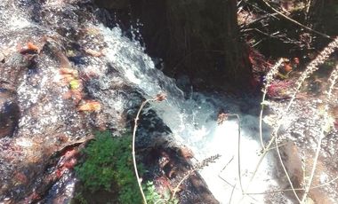 Rancho Venta El Charo Michoacán