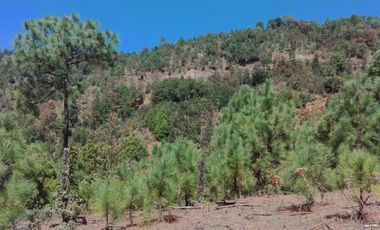 Rancho Venta El Charo Michoacán