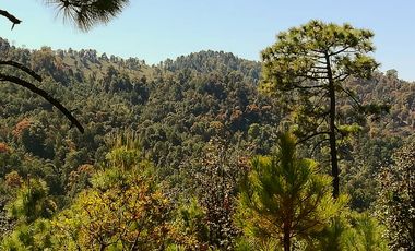 Rancho Venta El Charo Michoacán