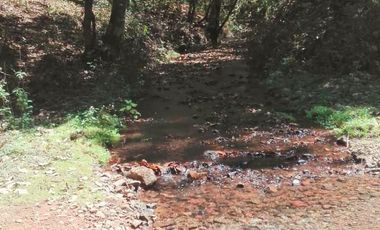 Rancho Venta El Charo Michoacán