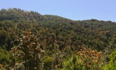Rancho Venta El Charo Michoacán