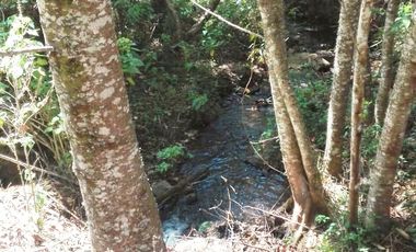 Rancho Venta El Charo Michoacán