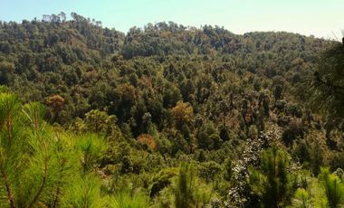 Rancho Venta El Charo Michoacán