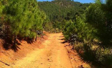 Rancho Venta El Charo Michoacán