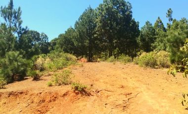 Rancho Venta El Charo Michoacán