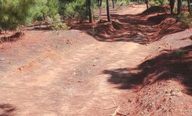 Rancho Venta El Charo Michoacán