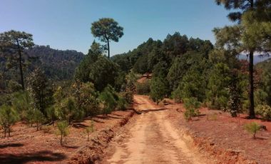 Rancho Venta El Charo Michoacán