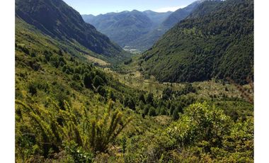 Parque natural de parcelas 209,5 ha en Melipeuco