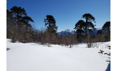 Parque natural de parcelas 209,5 ha en Melipeuco