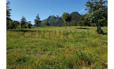 Parque natural de parcelas 209,5 ha en Melipeuco