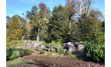 Parque natural de parcelas 209,5 ha en Melipeuco