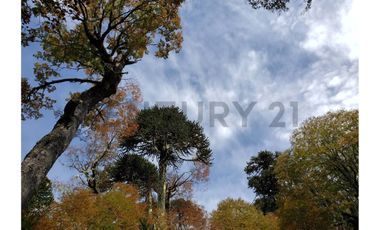 Parque natural de parcelas 209,5 ha en Melipeuco