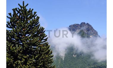 Parque natural de parcelas 209,5 ha en Melipeuco