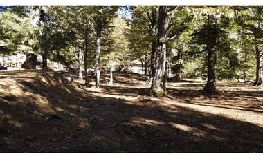 Parque natural de parcelas 209,5 ha en Melipeuco