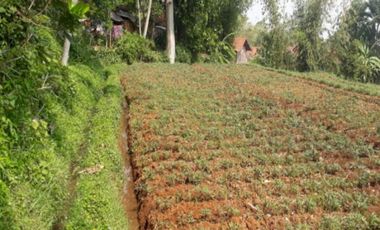 TANAH BANJARAN BANDUNG COCOK UNTUK VILLA DAN KEBUN