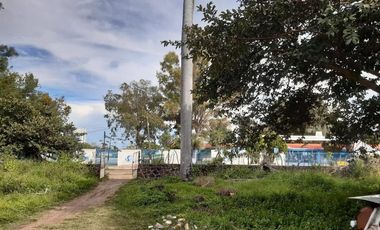 RIVERA DEL LAGO DE CHAPALA
