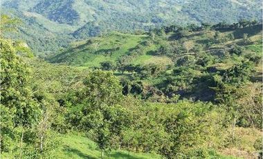 Maat vende Finca en Villeta, salitre negro 60.600m2  $1.150 Millones