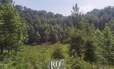 Terreno en venta en Ixhuacan de los reyes