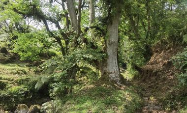 Terreno en venta en Ixhuacan de los reyes