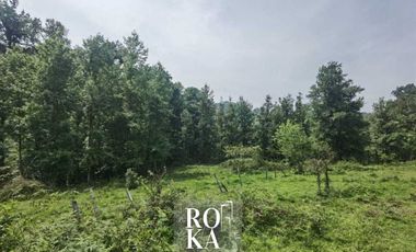 Terreno en venta en Ixhuacan de los reyes