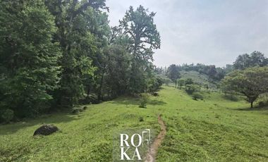 Terreno en venta en Ixhuacan de los reyes