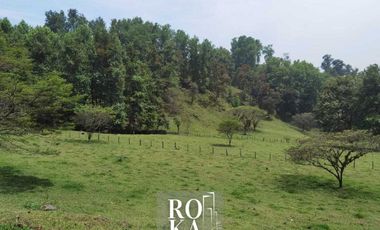 Terreno en venta en Ixhuacan de los reyes