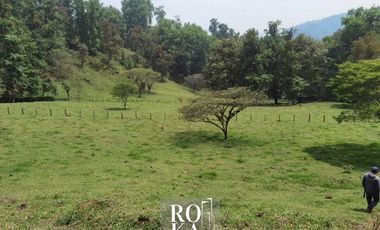 Terreno en venta en Ixhuacan de los reyes