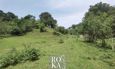 Terreno en venta en Ixhuacan de los reyes