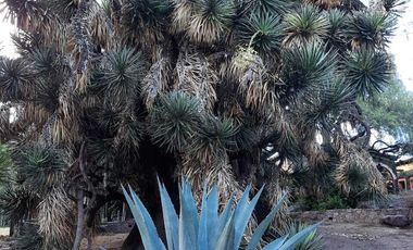 RANCHO COMO HOTEL BOUTIQUE