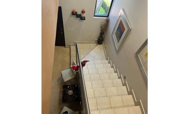 PH VERSALLES - MODELO PROVENZA PLUS - RM / AM