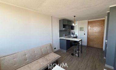 Departamento Briones luco ID: 160195r