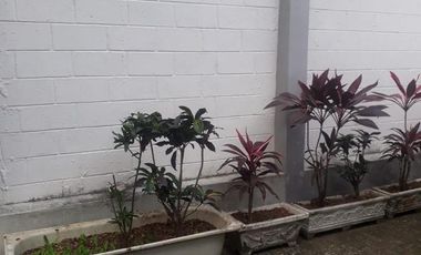 Bodega - Norte de Guayaquil