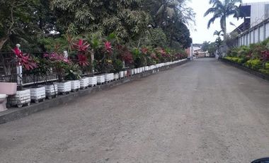 Bodega - Norte de Guayaquil