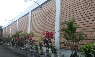 Bodega - Norte de Guayaquil