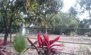 Bodega - Norte de Guayaquil