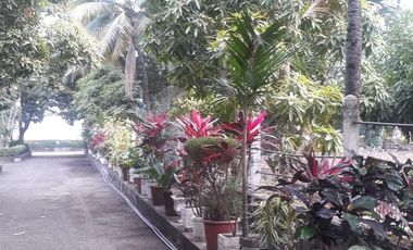 Bodega - Norte de Guayaquil