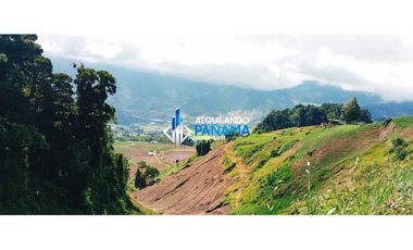 En venta 6 hectáreas en Cerro Punta, hermosa finca de producción.