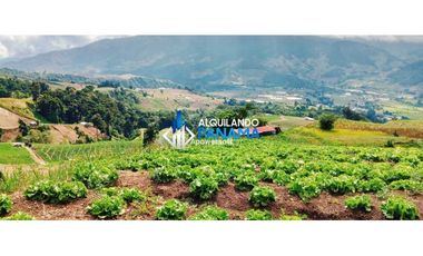 En venta 6 hectáreas en Cerro Punta, hermosa finca de producción.