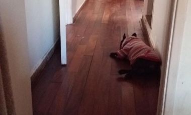 Casa en venta en Villa Dominico