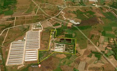 13.2-hectare Farm for Sale in Capas, Tarlac