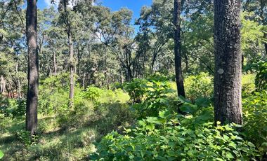 TERRENO EN VENTA EN RESERVA DE LOS ENCINOS