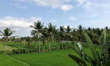 Villa for sale with rice field view near Kedungu Beach Bali