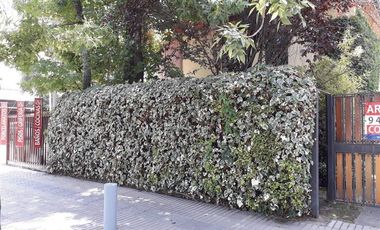 Casa en Arriendo en Casa HABITACIONAL con POTENCIAL COMERCIAL para REMODELAR