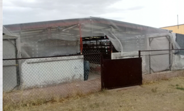 RANCHO EN VENTA LA PROVIDENCIA EN EL LLANO