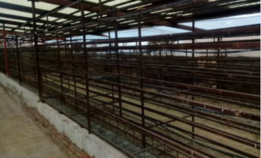 RANCHO EN VENTA LA PROVIDENCIA EN EL LLANO